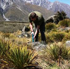 Martillo de ensayos de roca – RockSchmidt